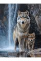 Алмазная мозаика без подрамника «Волчица» 130x100 см