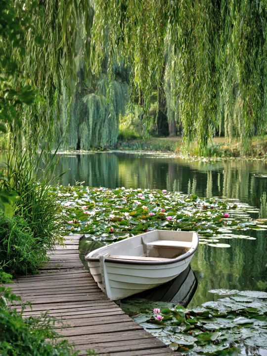 Алмазная мозаика без подрамника «Пруд с лилиями» 90x70 см