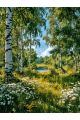 Алмазная мозаика без подрамника «Летний лес» 70x50 см