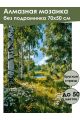 Алмазная мозаика без подрамника «Летний лес» 70x50 см