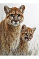 Алмазная мозаика без подрамника «Пума и детеныш» 70x50 см