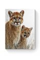 Алмазная мозаика на подрамнике «Пума и детеныш» 40x30 см