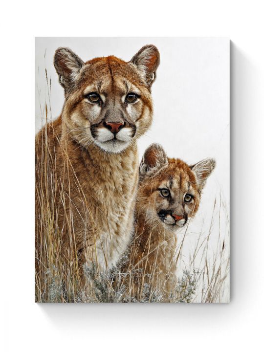 Алмазная мозаика на подрамнике «Пума и детеныш» 70x50 см