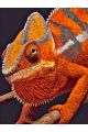 Алмазная мозаика без подрамника «Хамелеон» 50x40 см