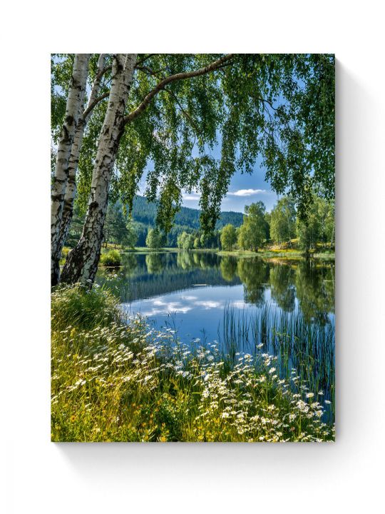 Алмазная мозаика на подрамнике «Береза у воды» 50x40 см