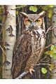 Алмазная мозаика без подрамника «Сова на ветке» 130x100 см