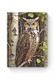 Алмазная мозаика на подрамнике «Сова на ветке» 50x40 см