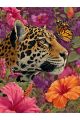 Алмазная мозаика без подрамника «Леопард» 40x30 см