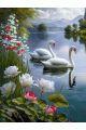 Алмазная мозаика без подрамника «Лебеди» 130x100 см