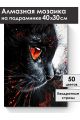 Алмазная мозаика на подрамнике «Чёрный кот» 40x30 см