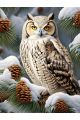 Алмазная мозаика без подрамника «Совушка» 50x40 см