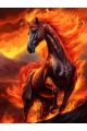 Алмазная мозаика без подрамника «Огненный конь» 60x45 см