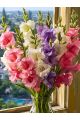 Алмазная мозаика без подрамника «Гладиолусы» 70x50 см
