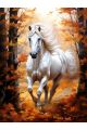 Алмазная мозаика без подрамника «Белый конь» 35x25 см