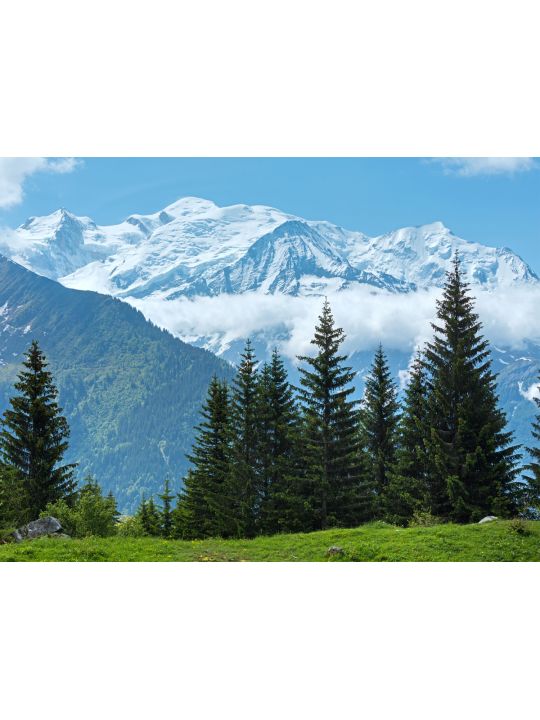 Алмазная мозаика без подрамника «Ели на фоне гор» 90x70 см