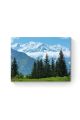 Алмазная мозаика на подрамнике «Ели на фоне гор» 70x50 см