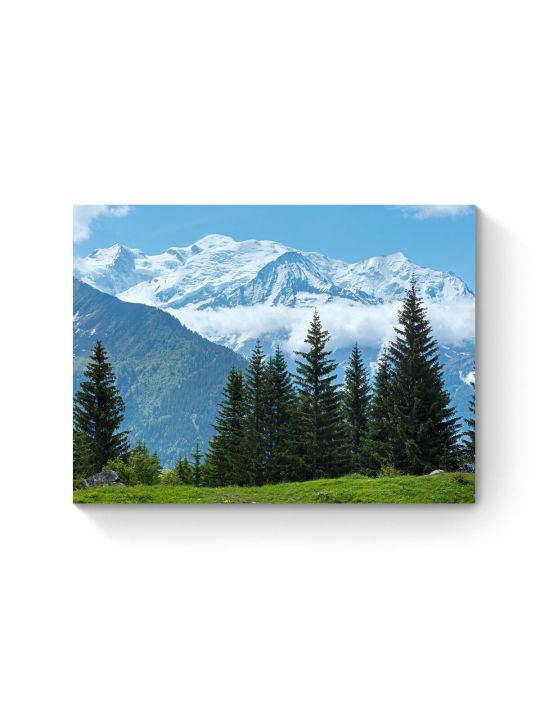 Алмазная мозаика на подрамнике «Ели на фоне гор» 40x30 см