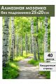 Алмазная мозаика без подрамника «Березовая роща» 25x20 см