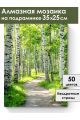 Алмазная мозаика на подрамнике «Березовая роща» 35x25 см