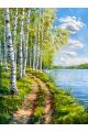 Алмазная мозаика без подрамника «Березки у воды» 50x40 см