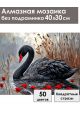 Алмазная мозаика без подрамника «Черный лебедь» 40x30 см