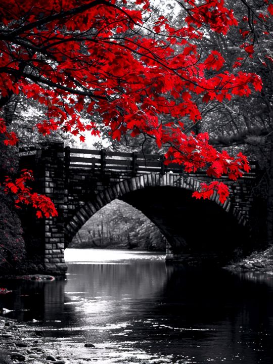 Алмазная мозаика без подрамника «Каменный мост» 60x45 см