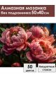 Алмазная мозаика без подрамника «Розовые пионы» 50x40 см