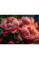 Алмазная мозаика без подрамника «Розовые пионы» 70x50 см