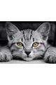 Алмазная мозаика без подрамника «Серый котенок» 60x45 см