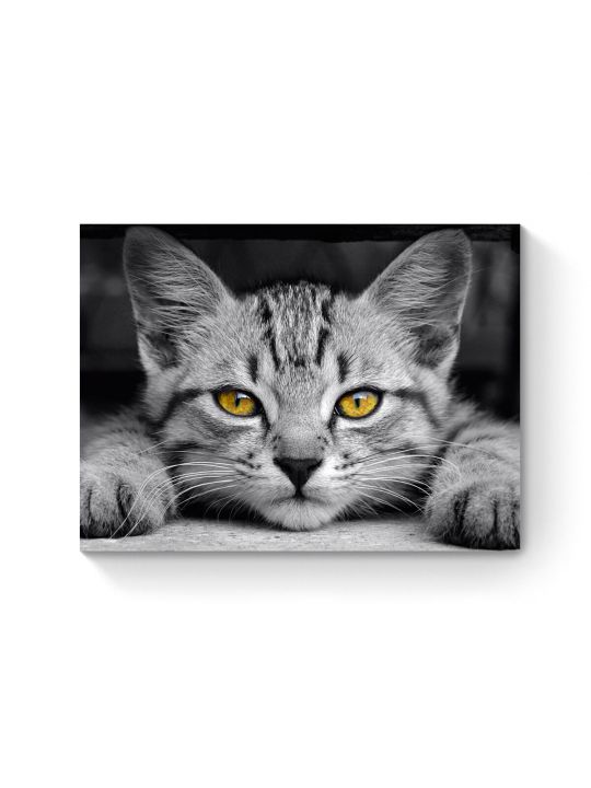 Алмазная мозаика на подрамнике «Серый котенок» 50x40 см