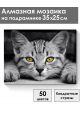 Алмазная мозаика на подрамнике «Серый котенок» 35x25 см