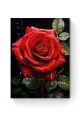 Алмазная мозаика на подрамнике «Красная роза» 35x25 см