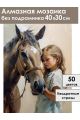 Алмазная мозаика без подрамника «Девочка с конем» 40x30 см