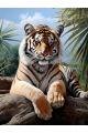Алмазная мозаика без подрамника «Тигр» 70x50 см