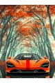 Алмазная мозаика без подрамника «Суперкар» 50x40 см