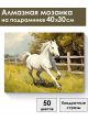 Алмазная мозаика на подрамнике «Мустанг» 40x30 см