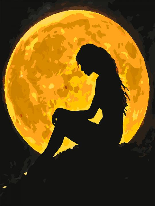 Картина по номерам без подрамника «Силуэт Луны» 25x20 см