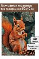 Алмазная мозаика без подрамника «Белочка» 50x40 см