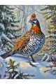 Алмазная мозаика без подрамника «Фазан в лесу» 130x100 см