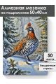 Алмазная мозаика на подрамнике «Фазан в лесу» 50x40 см