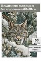Алмазная мозаика без подрамника «Лесной кот» 40x30 см
