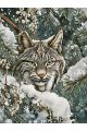 Алмазная мозаика без подрамника «Лесной кот» 25x20 см
