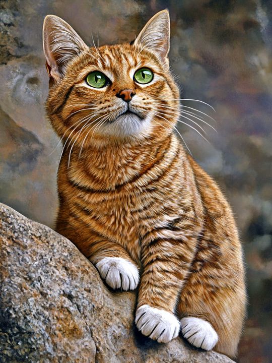 Алмазная мозаика без подрамника «Рыжее чудо» 35x25 см