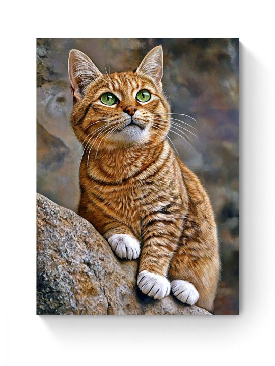 Алмазная мозаика на подрамнике «Рыжее чудо» 35x25 см