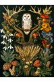 Алмазная мозаика без подрамника «Загадка леса» 130x100 см