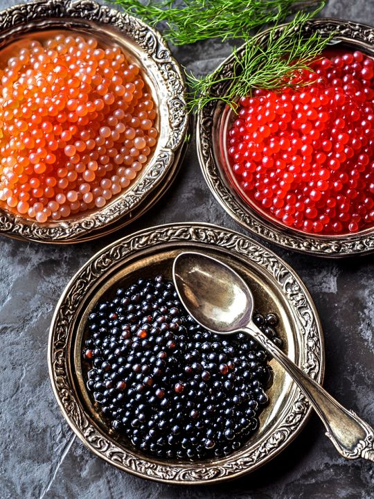 Алмазная мозаика без подрамника «Икорочка» 80x60 см