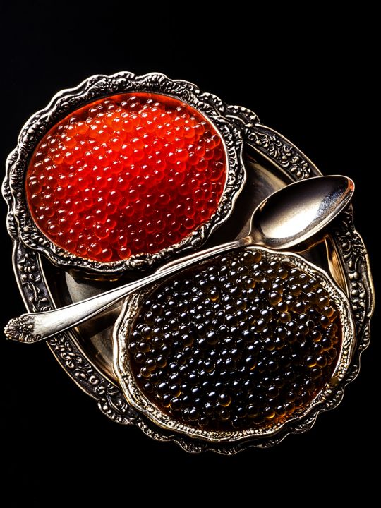 Алмазная мозаика без подрамника «Икорочка» 70x50 см