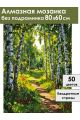 Алмазная мозаика без подрамника «Березовая роща» 80x60 см