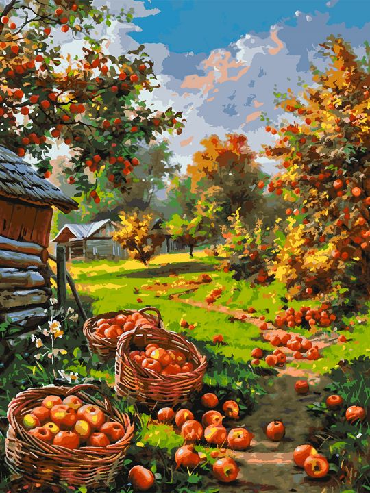 Картина по номерам без подрамника «Урожай яблок» 130x100 см