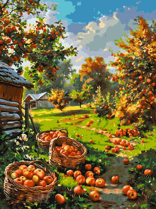 Картина по номерам без подрамника «Урожай яблок» 80x60 см